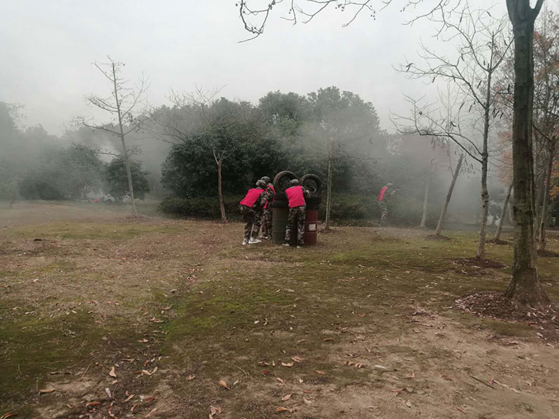 ��չ����CS