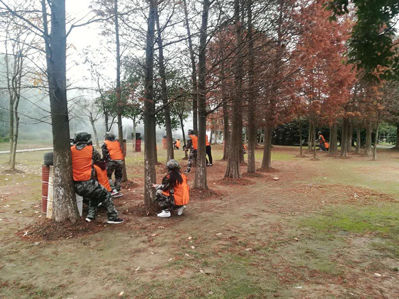 ��չ����CS