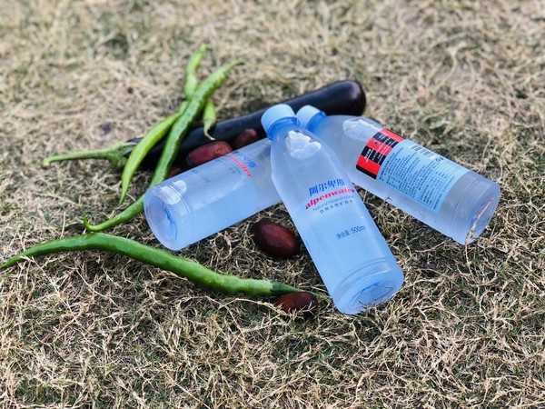 ���������տ�����